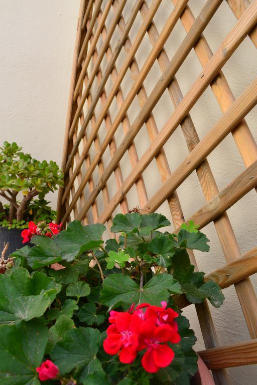Anatolia Guest House Chania  Exterior foto